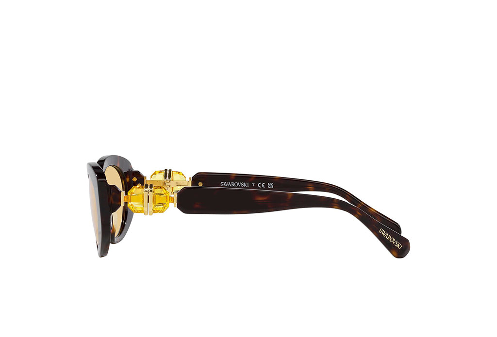 Swarovski 6002 Sunglass
