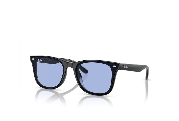 Ray-Ban 4420 Sunglass