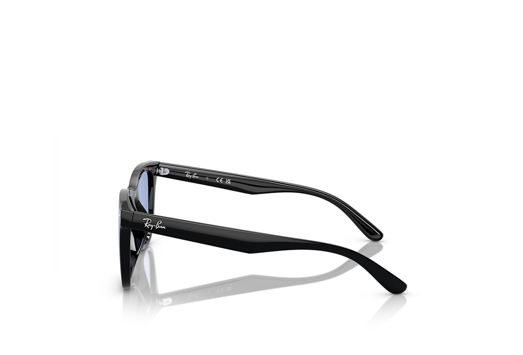 Ray-Ban 4420 Sunglass