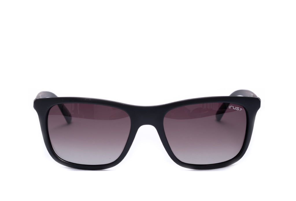Irus 1073 Sunglass