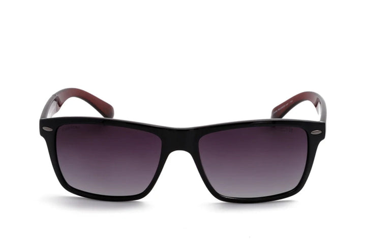 Elvis 249 Sunglass