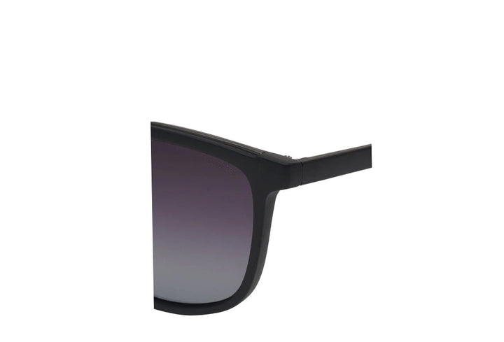 Spartan 173 Sunglass