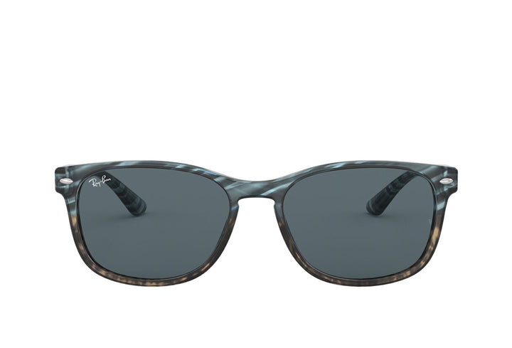 Rayban 2184 Sunglass