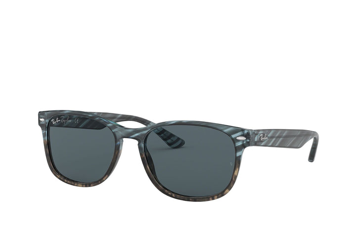 Rayban 2184 Sunglass