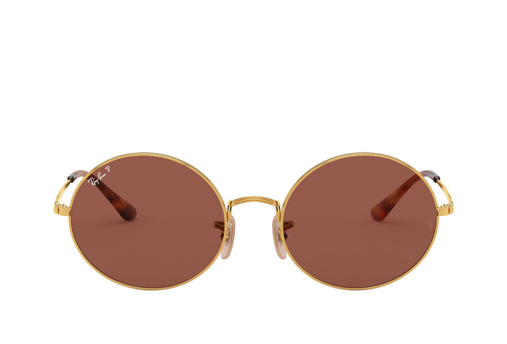 Rayban 1970 Sunglass