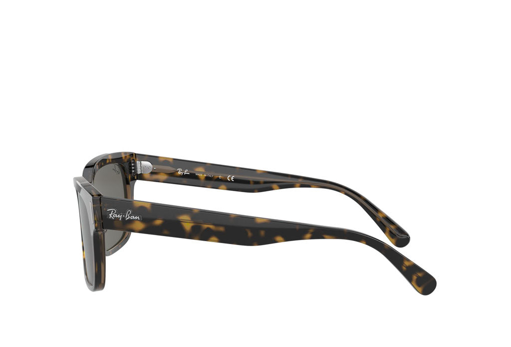Rayban 2190 Sunglass