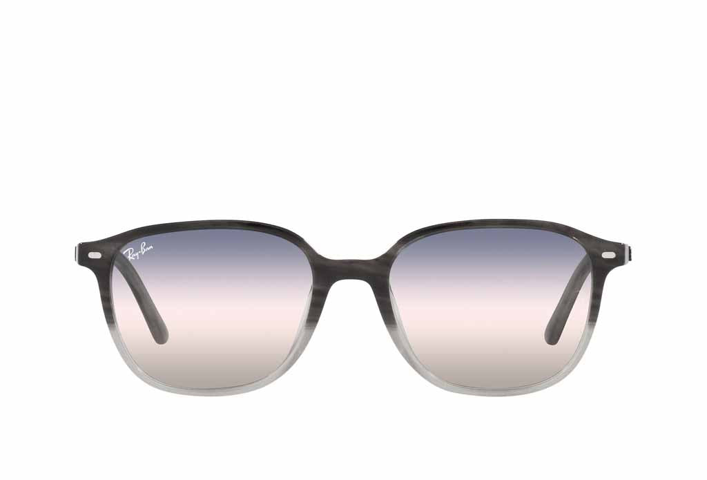 Rayban 2193 Sunglass