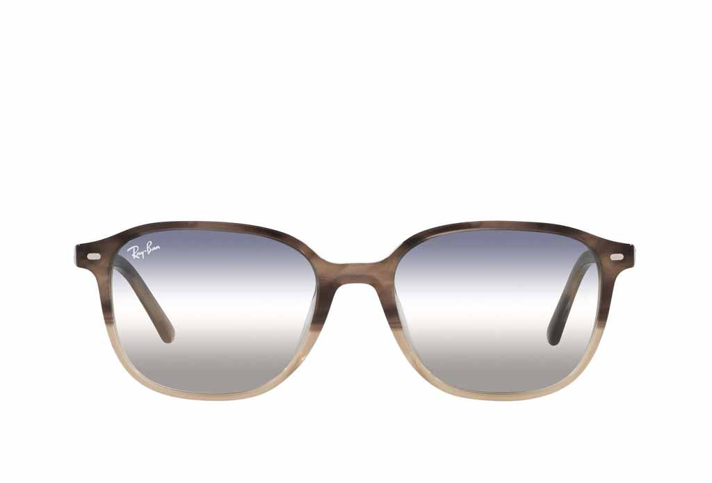 Rayban 2193 Sunglass