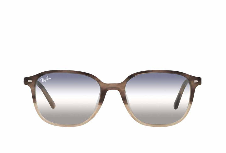 Rayban 2193 Sunglass