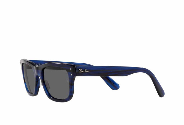 Rayban 2283 Sunglass