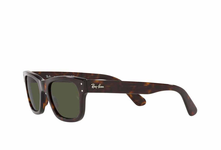 Rayban 2283 Sunglass