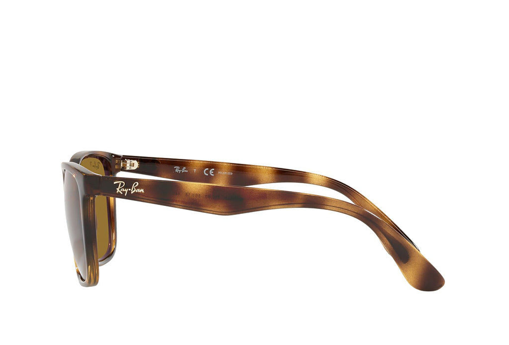 Rayban 4349I Sunglass