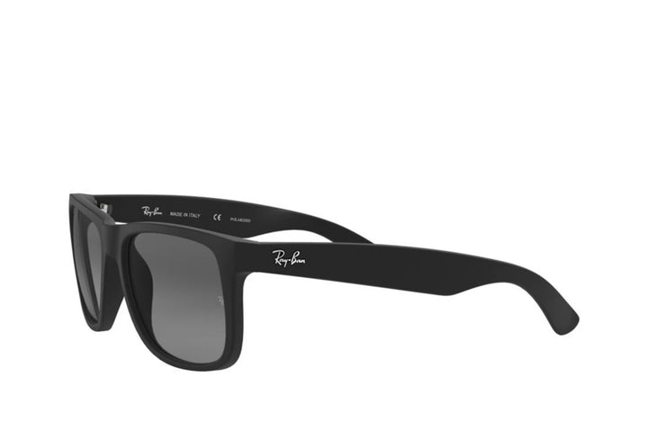 Rayban 4165 Sunglass