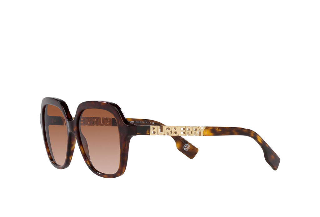 Burberry 4389 Sunglasses