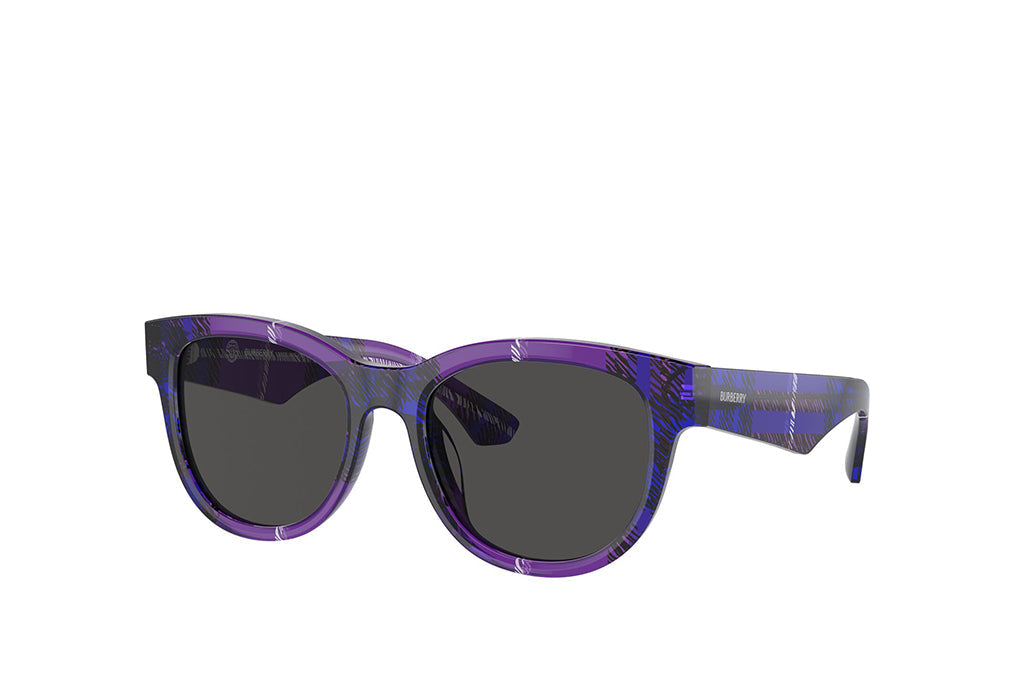 Burberry 4432U Sunglass