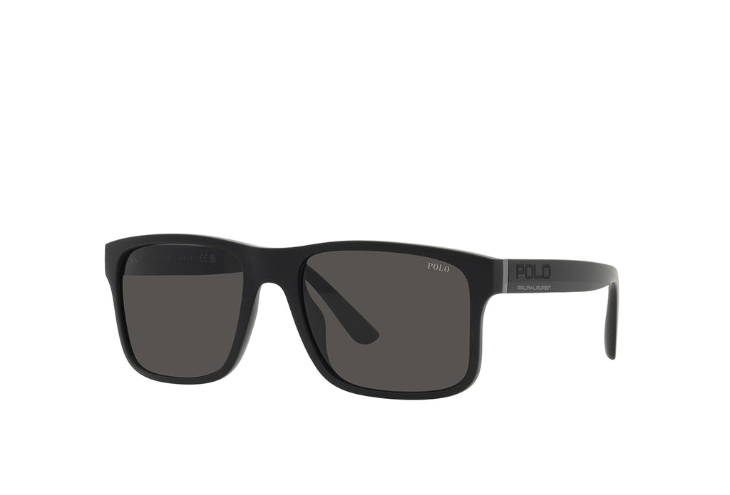 Polo Ralph Lauren 4195U Sunglass