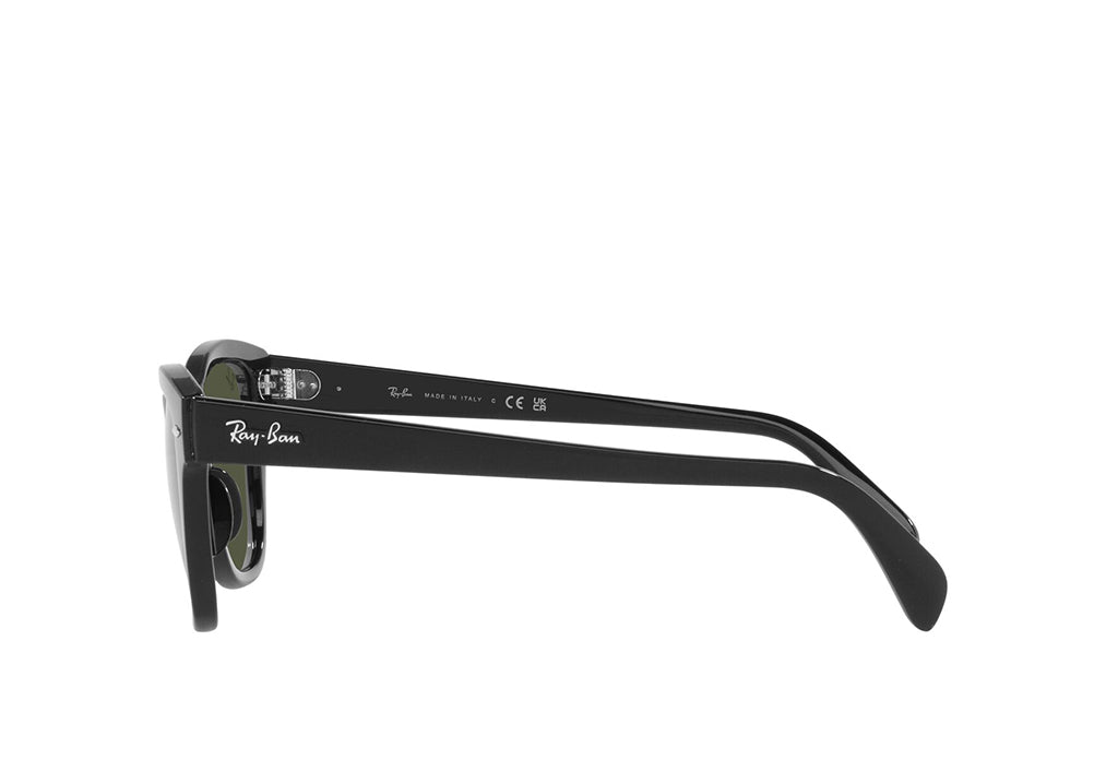 Ray-Ban 0707S Sunglass