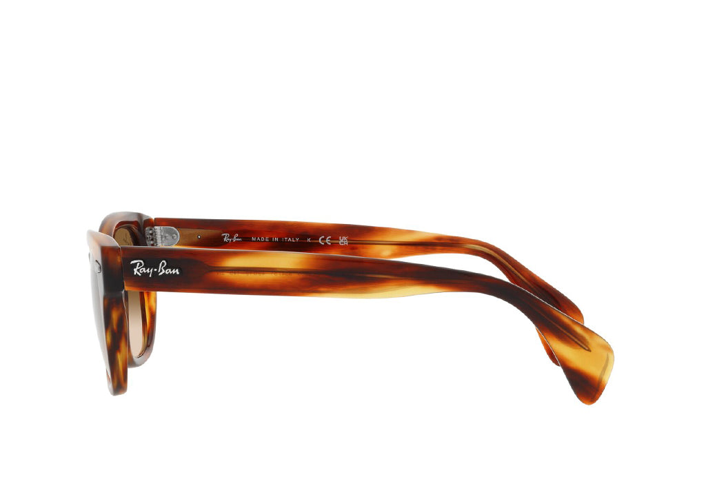 Ray-Ban 0880S Sunglass