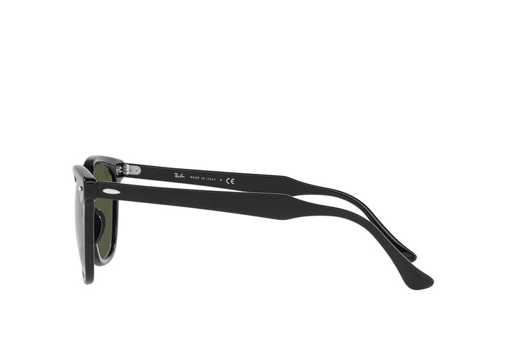 Ray-Ban 2298 Sunglass