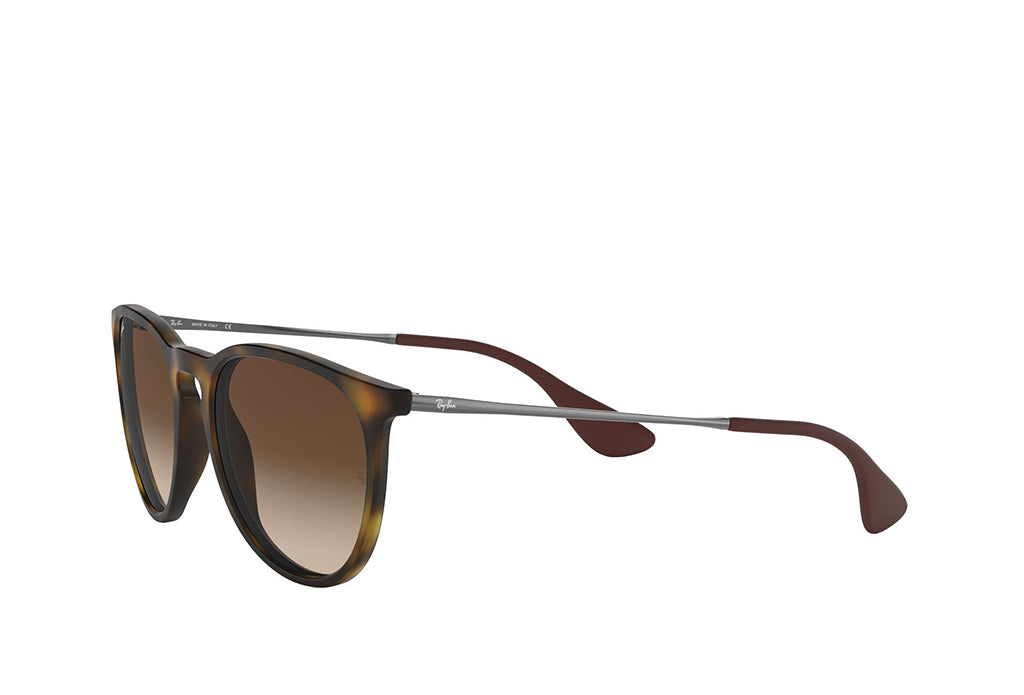 Ray-Ban 4171 Sunglass