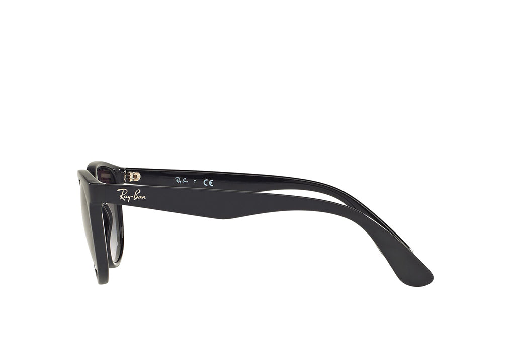 Ray-Ban 4252I Sunglass