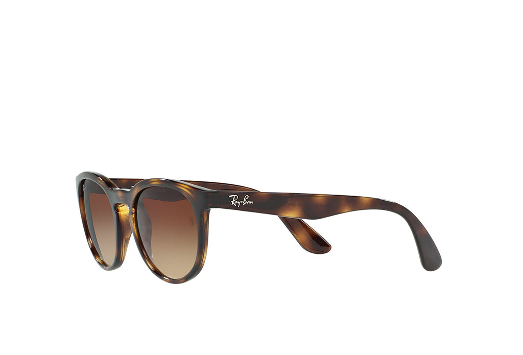 Ray-Ban 4252I Sunglass