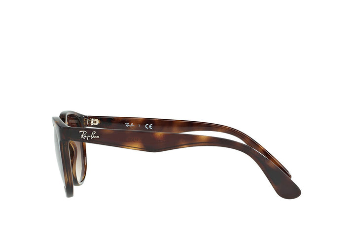 Ray-Ban 4252I Sunglass