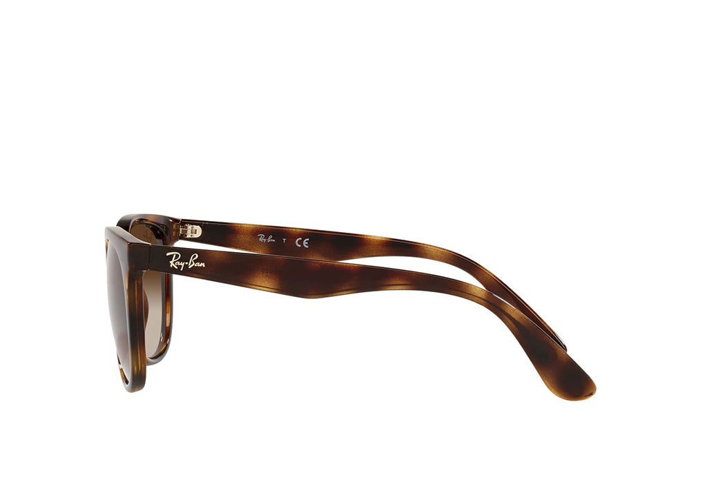 Ray-Ban 4381I Sunglass