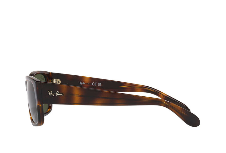 Ray-Ban 4388 Sunglass