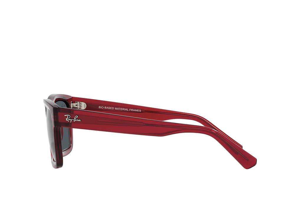 Ray-Ban 4396 Sunglass