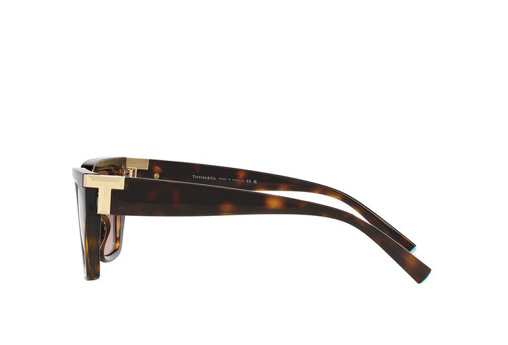 Tiffany & Co. 4205U Sunglass