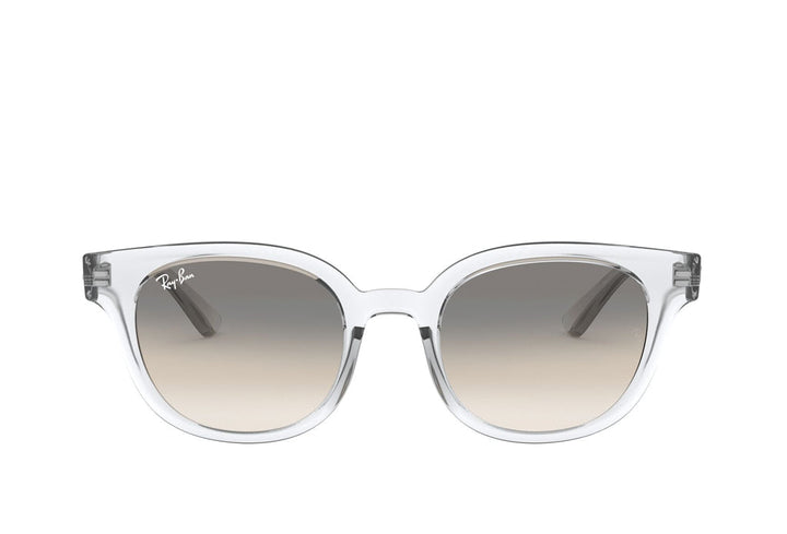 Ray-Ban 4324 Sunglass