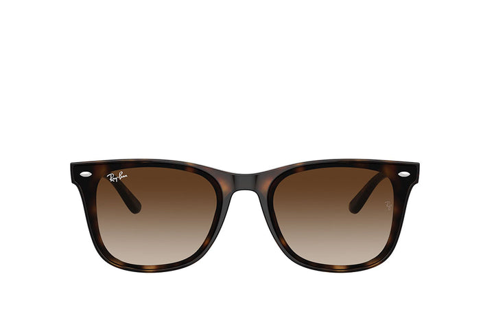 Ray-Ban 4420 Sunglass