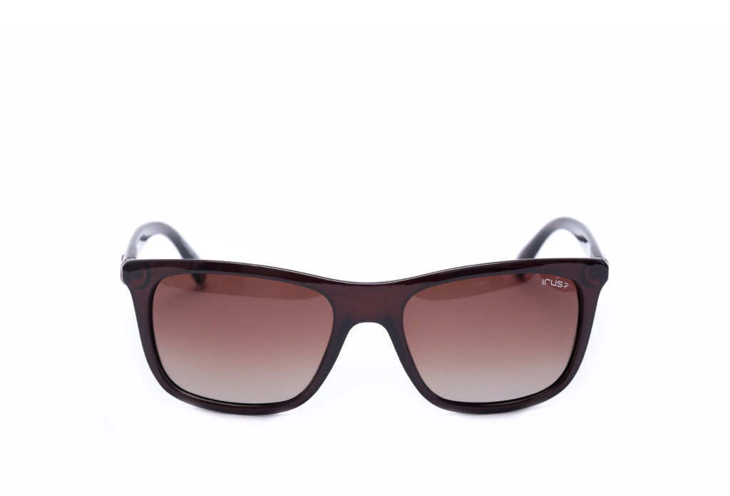 Irus 1073 Sunglass