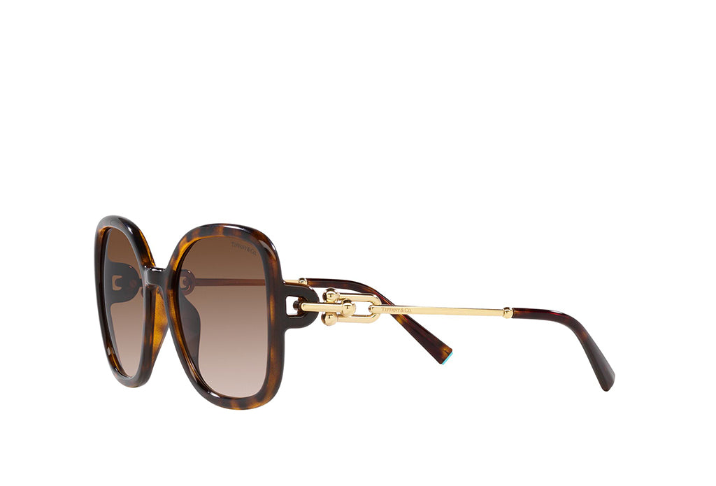 Tiffany & Co. 4202U Sunglasses