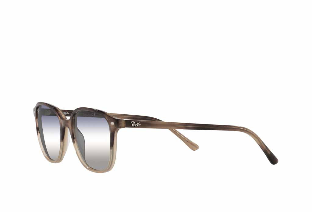 Rayban 2193 Sunglass