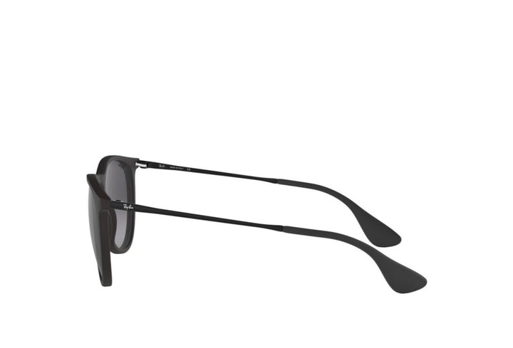 Rayban 4171 Sunglass